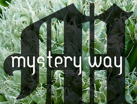 Mystery Way (tape)